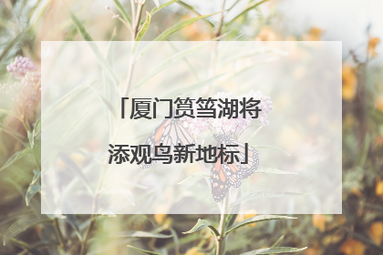 厦门筼筜湖将添观鸟新地标
